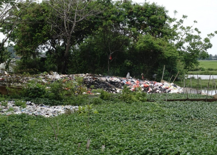 DLHK Angkut Residu dari Lapak Limbah, Untuk Meminimalisir Dampak Lingkungan
