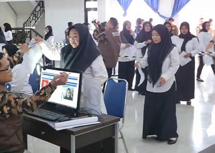 8.111 NIK PPPK Paruh Waktu Disetujui BKN, Sah Sebagai ASN, Tinggal Tunggu SK Bupati