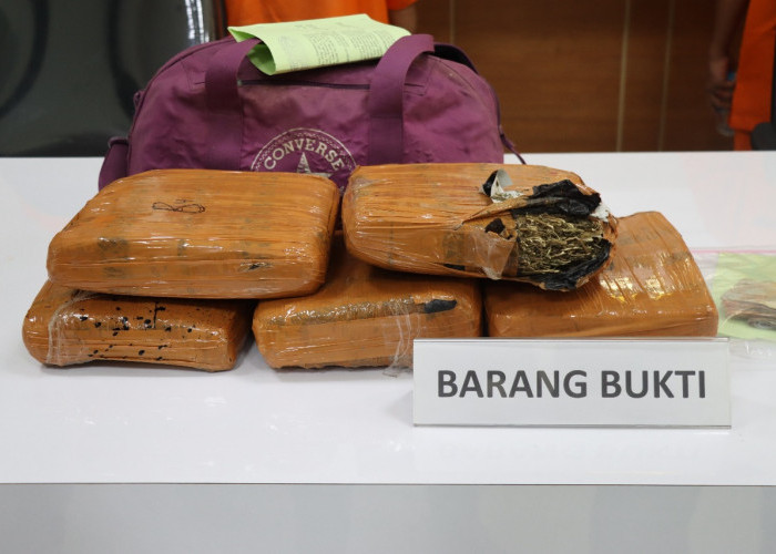2 Pengedar Narkotika Modus Sistem Tempel di Tangerang di Tangkap, Ganja 4,8Kg Disita