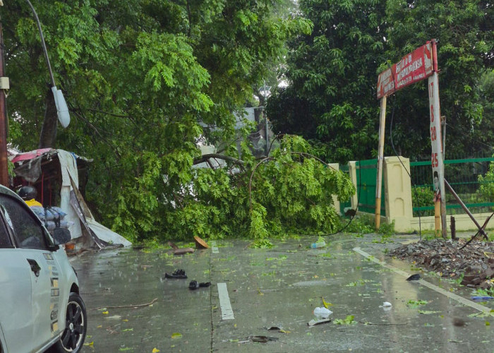 Hujan Lebat Disertai Angin, Pohon Tumbang Timpa Rumah di Mauk