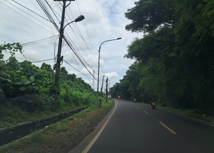 Dipasang Setahun lalu, Tiang PJU di Jalan Provinsi Tak Pernah Berfungsi