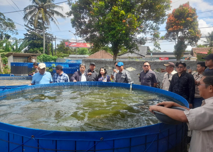 Tujuh Desa Diusulkan Jadi Tempat Bioflok