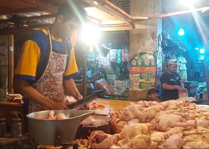 Jelang Idul Adha, Harga Daging Ayam di Pasar Induk Rau Mengalami Kenaikan