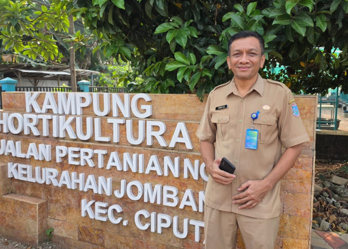 Luas Sawah Nol Hektare, Andalkan Urban Farming 