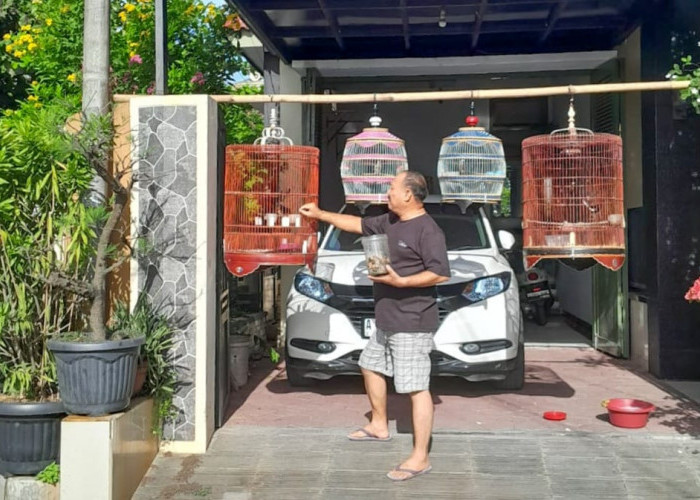 Hobi Kicau Lurah Balap