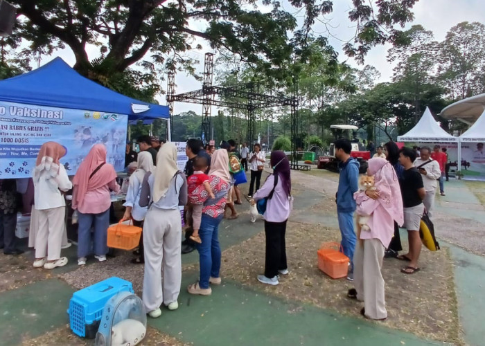 Waspada Rabies, Distan Vaksinasi Ribuan Hewan Peliharaan