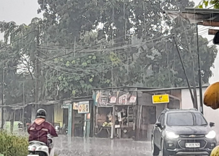 Lahan BBWS di Situ Pondok Disewakan Penggarap, Pedagang Sewa Lahan Rp10 Juta hingga Rp20 Juta Setahun