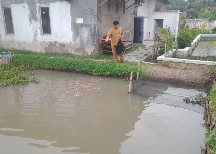 Kades Sangiang Manfaatkan Lahan Kosong di Kantor Desa Jadi Kolam Ikan