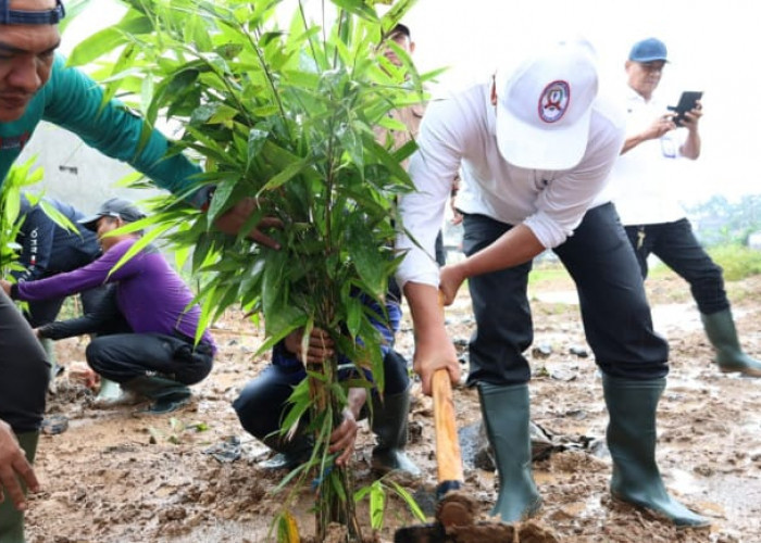 RTH Minim Polusi Mengancam, IKLH Kabupaten Tangerang Hanya 61,57