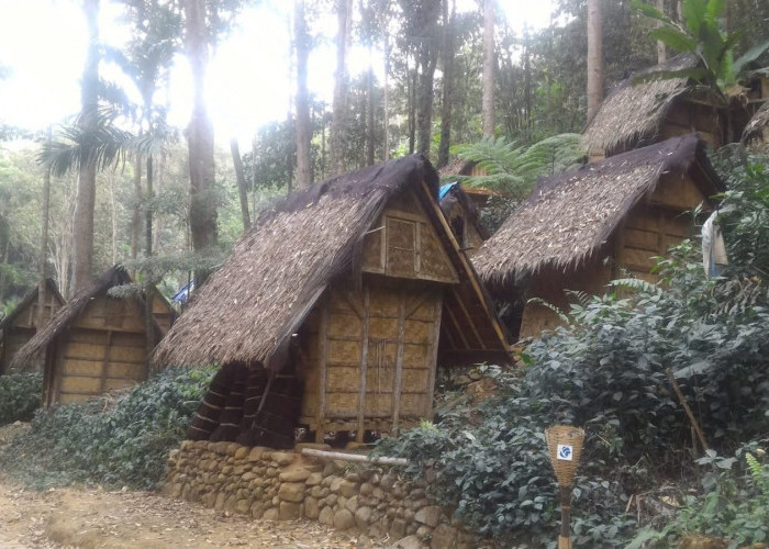 Banyak Leuit Baduy Rusak