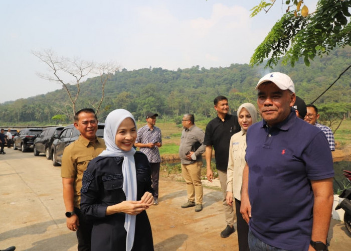 PSEL Dipastikan Terbangun Tahun Ini
