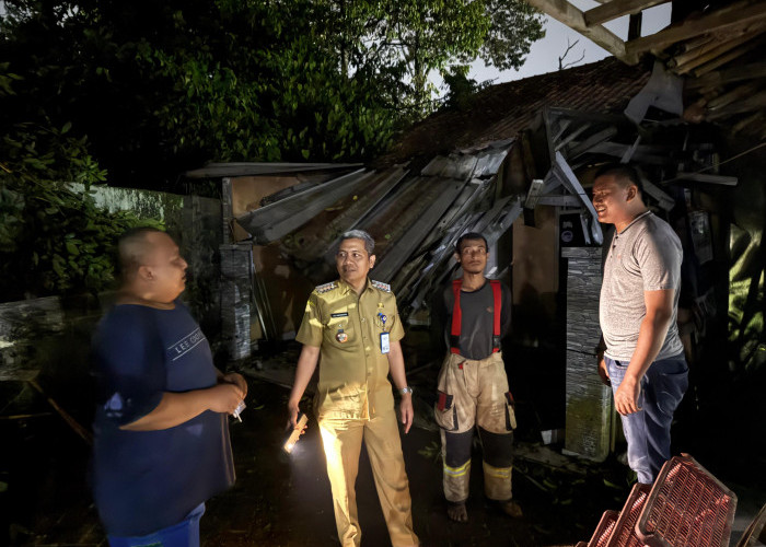 Rumah Warga di Tigaraksa Ringsek Tertimpa Pohon, Camat Bantu Urus Bantuan Buat Korban 
