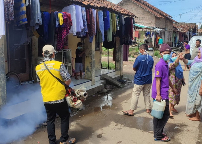 Pengawasan DBD Diperketat di Musim Hujan