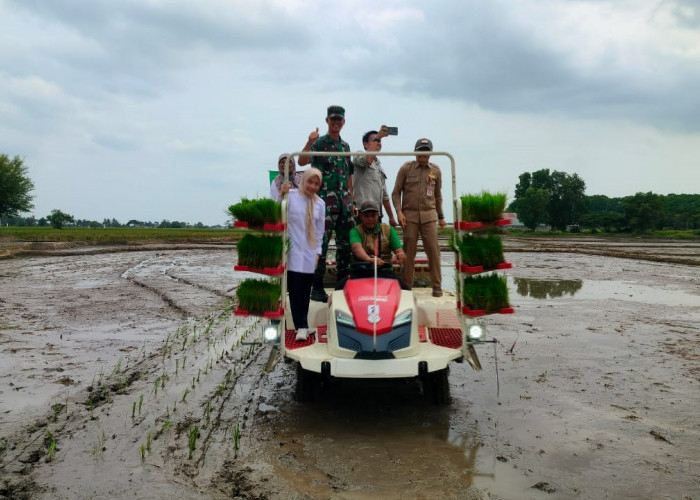 Bupati Akan Datangkan Mesin Tanam dan Panen Padi Modern 