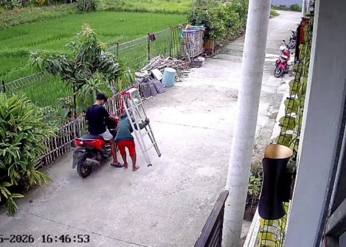 Maling Tangga Lipat di Mutiara Puri Harmoni Terekam CCTV