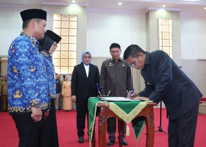 50 Jabatan Masih Diisi Plt