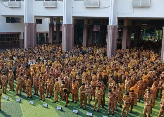 Pemda Nilai WFH Bisa Hemat BMM dan Listrik