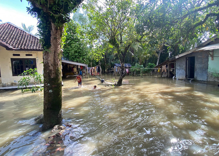 Banjir, Aktivitas Warga Wanasalam Lumpuh