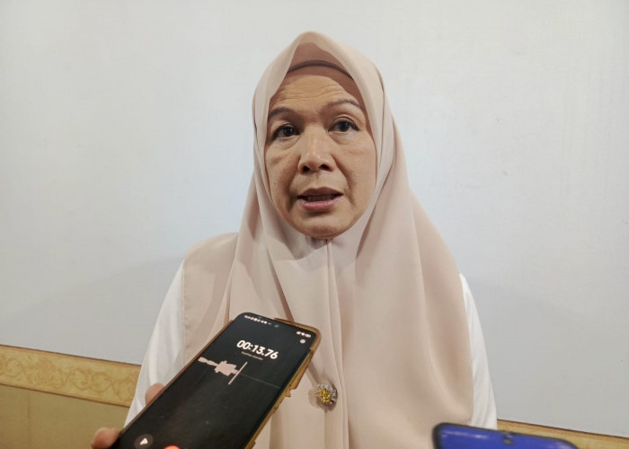 Sewa Randis Dinilai Bisa Hemat Rp4 Miliar