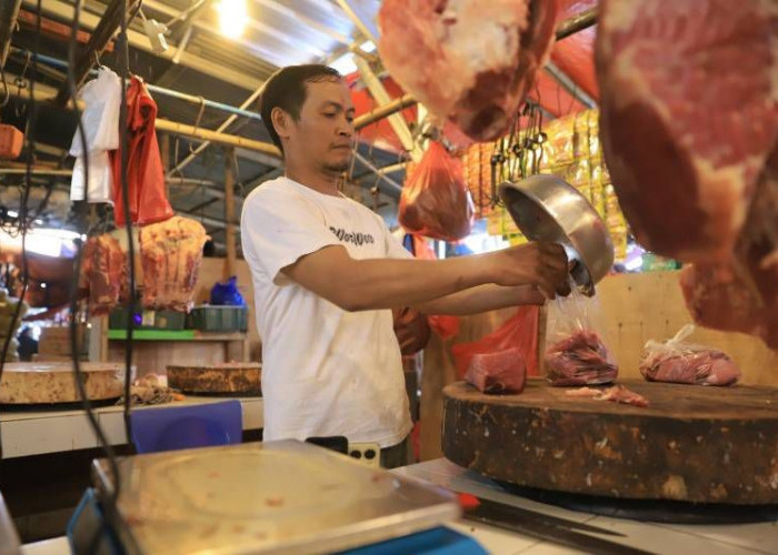 Pedagang Daging Wajib Punya Sertifikat Halal 