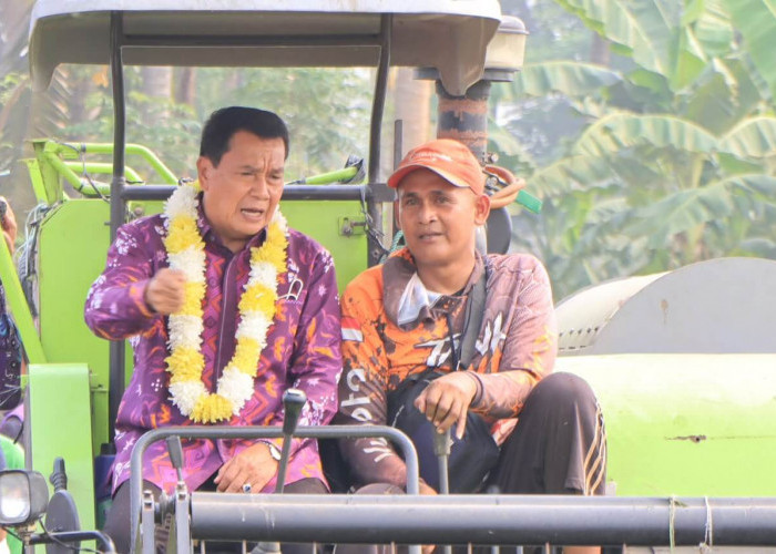 Di Tengah Ancaman Puso Kemarau, Bupati Tangerang Klaim Panen 6,2 Ton di Mauk