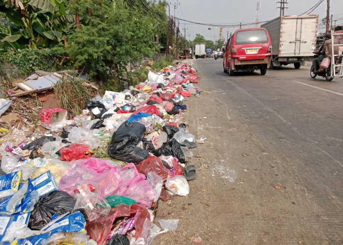 Dikeluhkan Warga Desa Bojong Cikupa, Bahu Jalan Raya Serang Jadi TPS Liar 