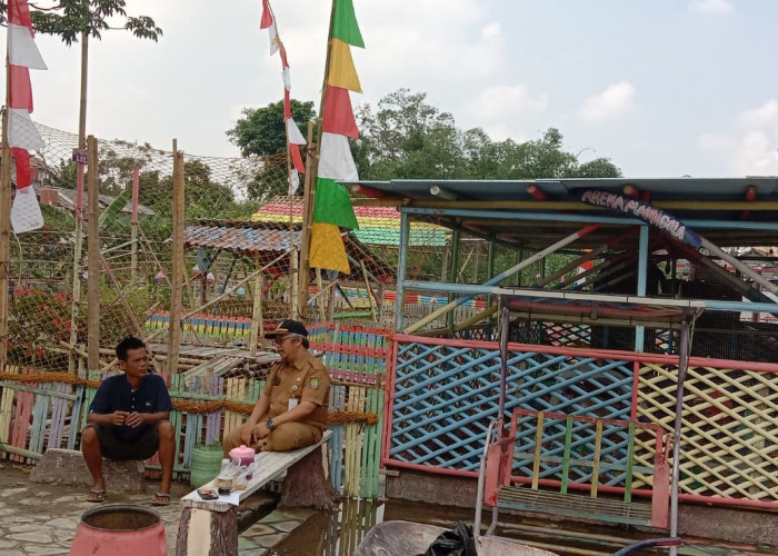 Tukang Bangunan Sulap Rawa Jadi Taman Randu