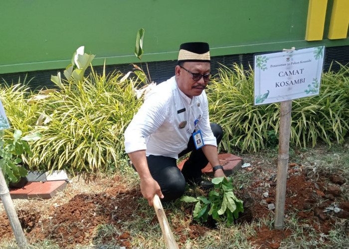  Peringati HUT Kecamatan Kosambi Ke 32, Camat Ajak Instansi Tanam Pohon Kosambi