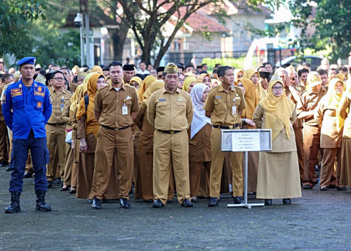 Dalam Lima Tahun ke Depan, 2.458 ASN Pemprov Pensiun