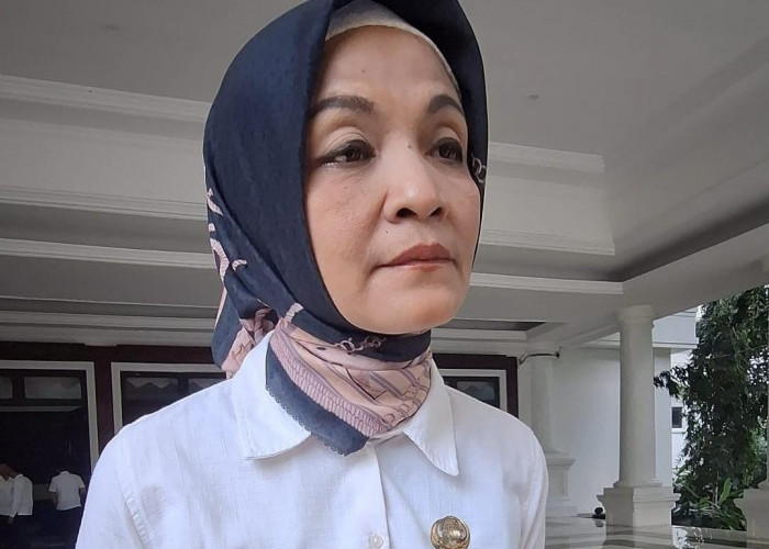 Kadinkes Angkat Bicara Soal Temuan BPK Terkait Proyek Pengadaan Videotron