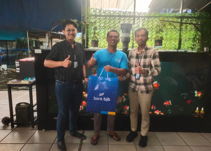 Program Binaan UMKM bjb, Budidaya Ikan Mas Koki Umardani Terkenal Hingga Negara Eropa