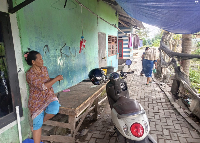 Nasib Warga Terdampak Radioaktif Cesium 137, Kehilangan Hewan Ternak Tak Diganti Rugi