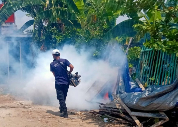 Empat Kasus DBD Terjadi di Desa Karet, Pemdes Lakukan Fogging untuk Cegah Penyebaran Demam Berdarah
