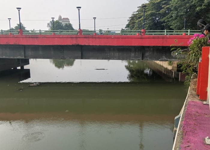 Kualitas Air Cisadane Baik, Tapi Banyak Ikan Ngambang