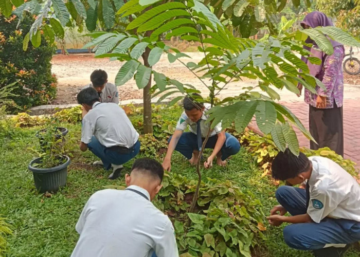 SMPN 4 Curug Terus Jaga Lingkungan Sekolah