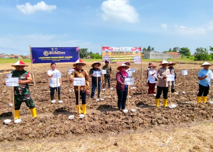 BUMDesa Banyu Asih Optimalkan Dana Desa