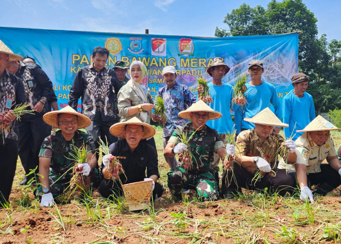 Pertama di Tangerang Selatan, Danrem dan Asda Panen Bawang Merah di Kawasan Pertanian Terpadu