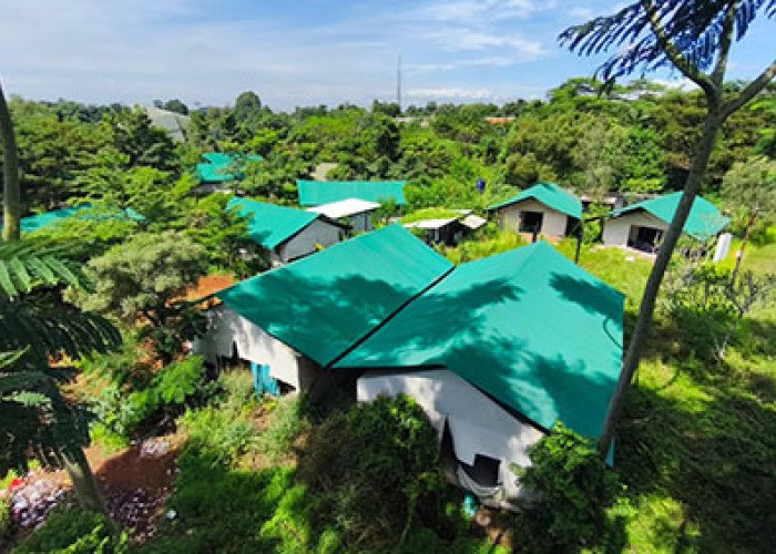 Nganggur, Glamping Eks Covid-19 Akan Dibongkar