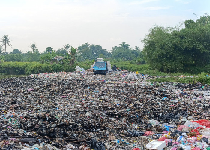 DLHK Catat Ratusan TPS Ilegal, Kebanyakan Sampah Non-Rumah Tangga 