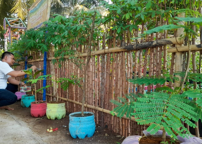 Bangun Pagar Kejujuran dari Tanaman Singkong