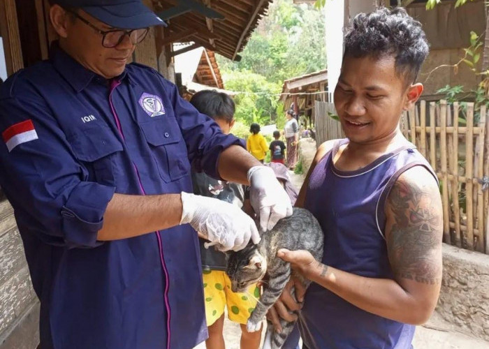 Pemkab Lebak Gratiskan Layanan Kesehatan Hewan