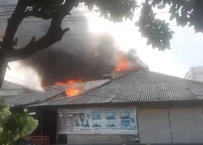 Kasus Kebakaran Tinggi, Rata-rata 8 Kali Per Bulan