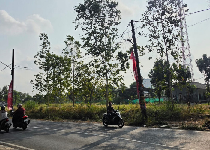 Penataan Kawasan Puspem Dinilai Mendesak, Ciputat Tertinggal dari Kecamtaan Lain