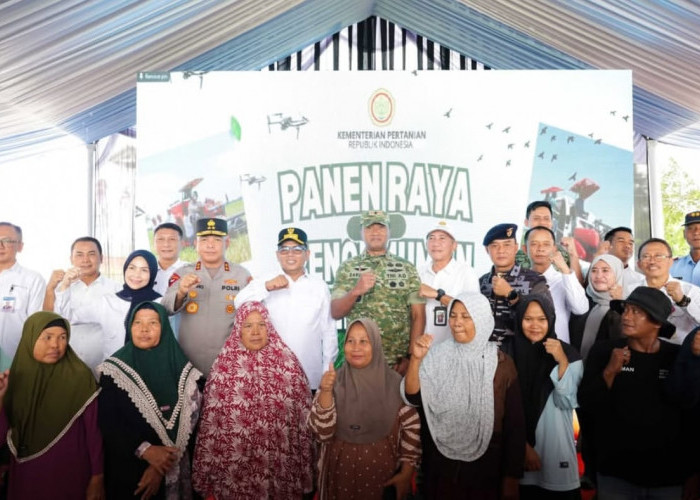 Produksi Padi Melonjak Capai 1,8 Juta Ton