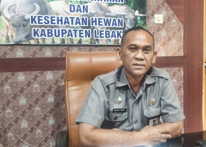 Lebak Klaim Jadi Penyangga Beras Jabodetabek