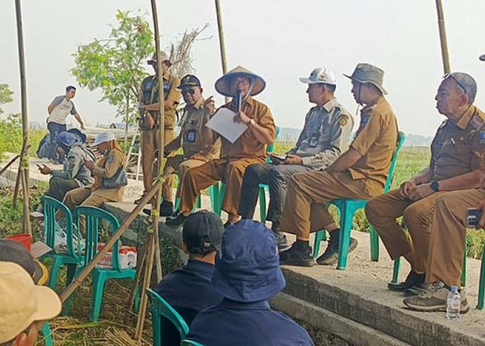 Petani Panen Bawang Untung Puluhan Juta