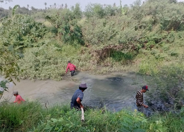 Warga Swadaya Bersihkan Sungai Cileles dari Eceng Gondok dan Sampah