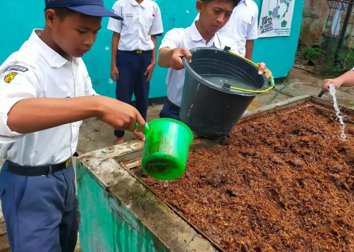 SMPN 3 Sukamulya Manfaatkan Lahan Terbatas untuk Taman Sekolah