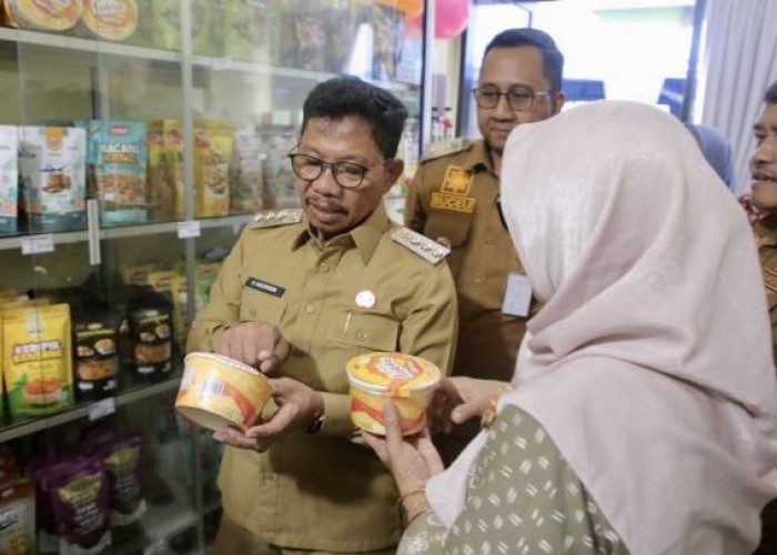 Ekonomi Mikro Dinilai Bisa Menekan Angka Pengangguran