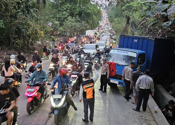 Diduga Rem Blong, Truk Bermuatan Air Mineral Terperosok ke Parit